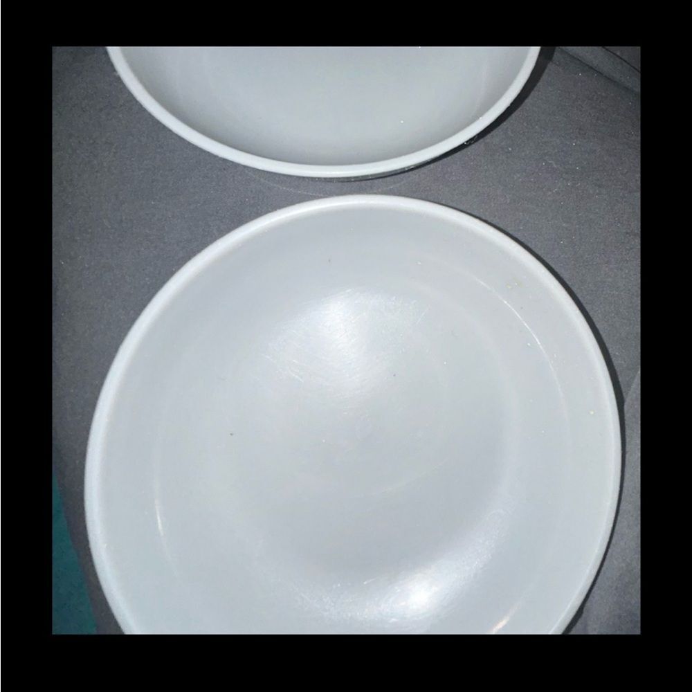 PET DISHES X2